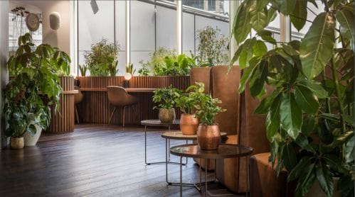 What are the key benefits of utilising biophilic design in the workplace?